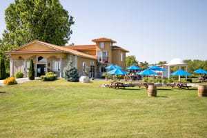 Wine Trail Ride Cycling Tour 4