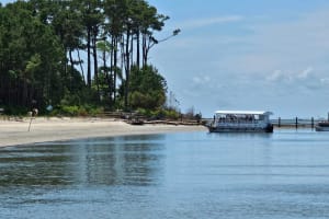 Wild Pony Wildlife Cruise from Chincoteague 4