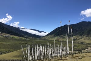 Paro Festival 4