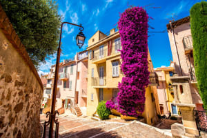 Cannes &  French Riviera villages FD Trip from Nice (shared) 4