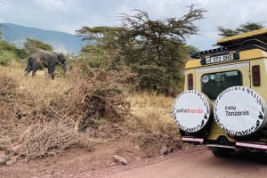 2 Days Tanzania Safari Tarangire and Ngorongoro 4