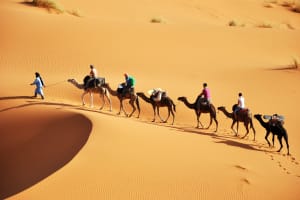 Fes desert tours 2 days  4