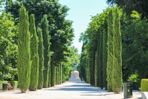 El Retiro: Self-guided Audio Tour on Your Phone no ticket 4
