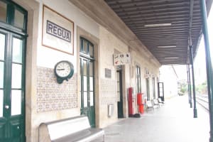 Douro Valley to Peso da Régua by Train 3