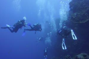 Scuba Diving in Puerto Morelos 3