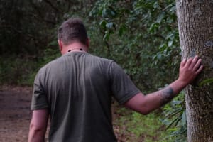Relaxing Forest Bathing Walk in Asheville's Blue Ridge Mountains 3