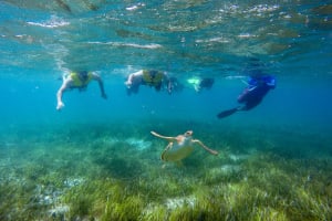 Private Reef Snorkeling, 3 Cenotes, 5 Zip-lines, Mayan Lunch 3
