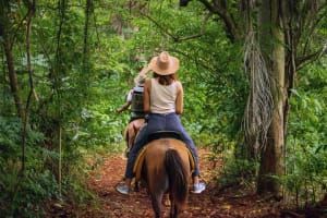Tulum Jungle ATV + Zipline + Cenote + Horseback Tour 4