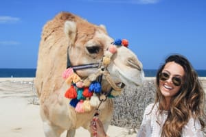 Cabo Arch & Camels: Pacific Beach Ride + Buffet Lunch 4