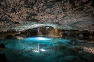 Private Jungle Tour with Zipline, Rappel & Snorkel 4
