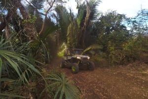 Sayulita Escape ATV Tour 4