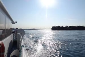 Boat Trip from Port-Navalo around Gulf of Morbihan with stop on Île aux Moines 3