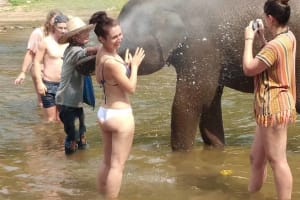 Elephant Sanctuary Tour in Chiang Mai 3