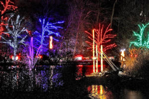 Niagara Falls Festival of Winter Lights Tour 3