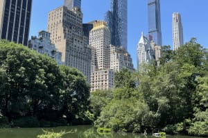 Central Park Walking Tour with Local Guide 4