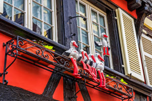 Alsace Breweries & Delicacies From Mulhouse (private) 4