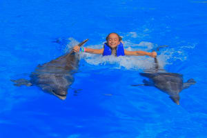Swim with the Dolphins in Puerto Vallarta 3