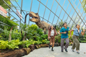 Gardens by the Bay Admission Tickets 3