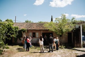 Small Group Toledo Day Trip from Madrid with Winery Tour  4