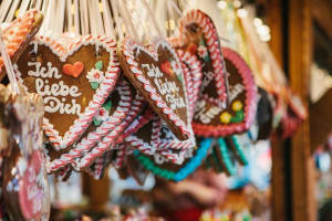 German Christmas Markets from Strasbourg (Private) 4