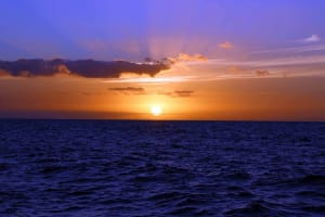 Sunset Snorkel Cruise (West Oahu) 4