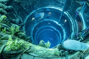 Deep Dive Dubai 4