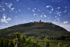Obernai and Mont Sainte Odile Trip from Strasbourg (Private) 4