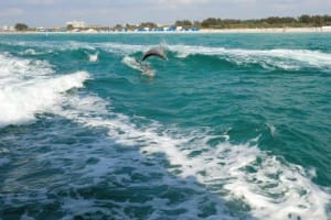 Clearwater Beach  4