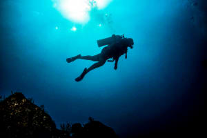  Scuba Dive at Marietas Islands 4