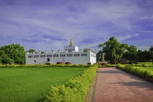 Lumbini Day Tour 4