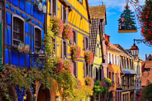 Luxury Arts, Crafts & Spirits of Alsace (private) 4