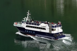 Whales & Waves: An Epic Marine Adventure Tour 4