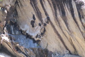 Langtang Valley Trek in Nepal 3