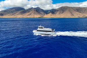 ʻElua Molokini Snorkel Tour | A/C Cabin & Turtle Town (5 Hr) 3