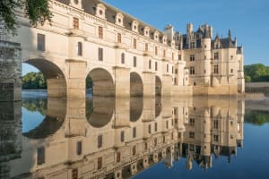 Chenonceau Castle A Half Day Trip from Tours (private) 3