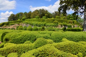 Castles & Gardens of Dordogne FD Trip from Sarlat private 4