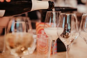 Toulouse Wine Bar Tour (shared) 4