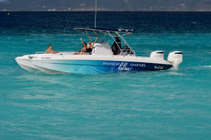Full Day Private Charter: Snorkeling, Turtles, Beach Hopping 3
