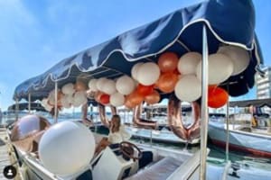 12 Passenger Electric Boat Rental 3