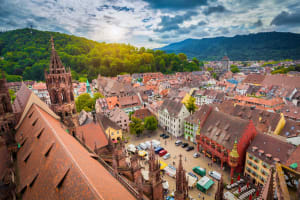Freiburg & Black Forest Day Trip from Colmar (Private) 3