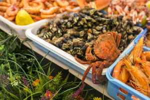 Song of the Sea, Seafood and Tradition 3