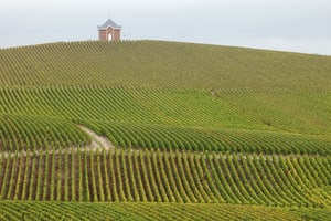 Countryside landscape in Champagne region
