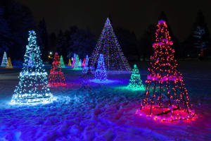 Festive Night on Niagara Holiday Lights Tour with Helicopter Ride 4