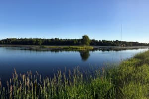 Anchorage Greenbelt Bike Tour - Private 4