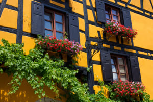 Obernai and Mont Sainte Odile Trip from Strasbourg (Private) 3