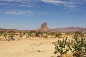 Cabo UTV Tour with Tequila Tasting & Mexican Buffet 4