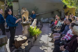 Official San Diego Zoo Tickets - 1 Day Pass 4