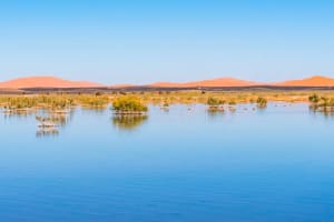 6 Days Morocco tour from Casablanca 3