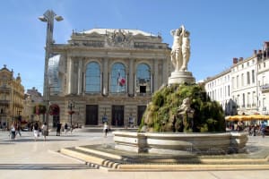 Montpellier Guided Walking Tour (private) 3