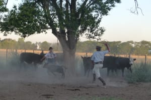 Ranch and Gaucho Town San Antonio de Areco 3